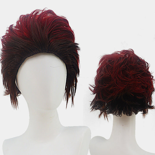 Demon Fighter Cosplay Wigs